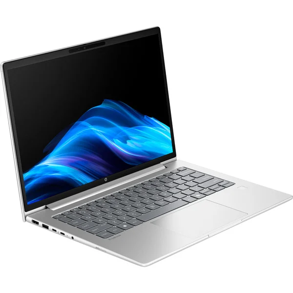 HP ProBook 4 G1a (C07P6ES), Notebook (silber, AMD Ryzen 7 250, AMD Radeon 760M, 24 GB DDR5, 1 TB (1 TB SSD), Windows 11 Pro)