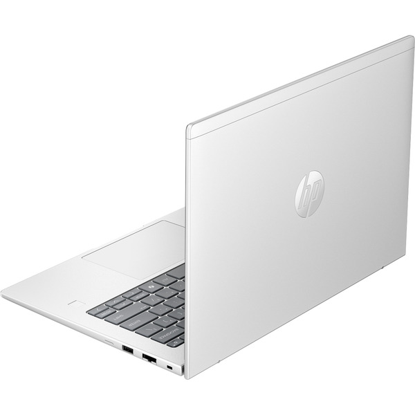HP ProBook 4 G1a (C07P6ES), Notebook (silber, AMD Ryzen 7 250, AMD Radeon 760M, 24 GB DDR5, 1 TB (1 TB SSD), Windows 11 Pro) - Bild 4