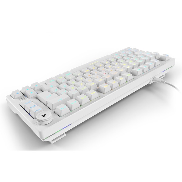 Sharkoon SKILLER SGK25, Gaming-Tastatur - Bild 4