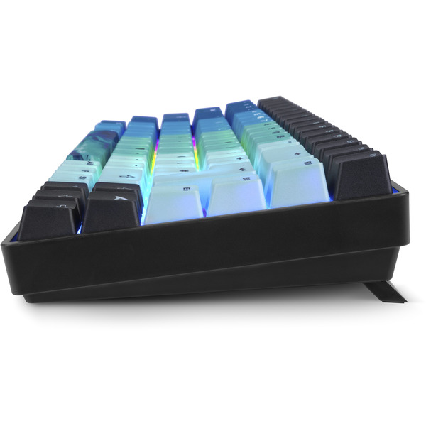 Sharkoon SKILLER SGK50 S3 Ultimate Rev2, Set - Bild 7