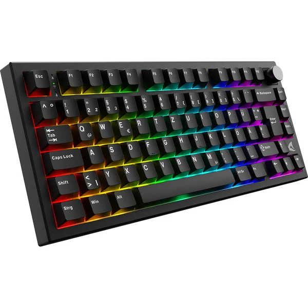 Sharkoon SKILLER SGK55W, Gaming-Tastatur