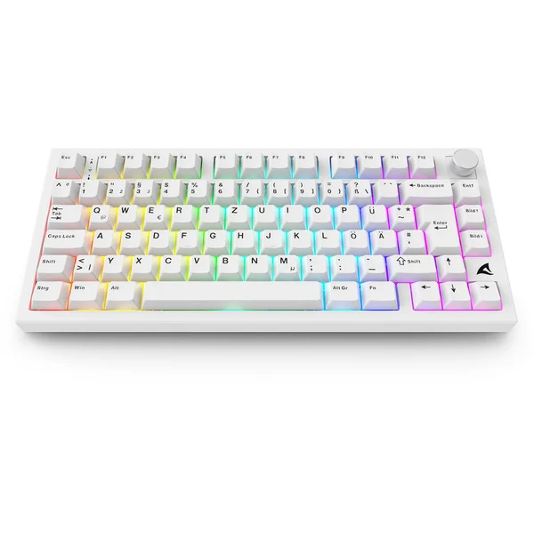 Sharkoon SKILLER SGK55W, Gaming-Tastatur - Bild 3