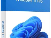 Windows 11 Pro